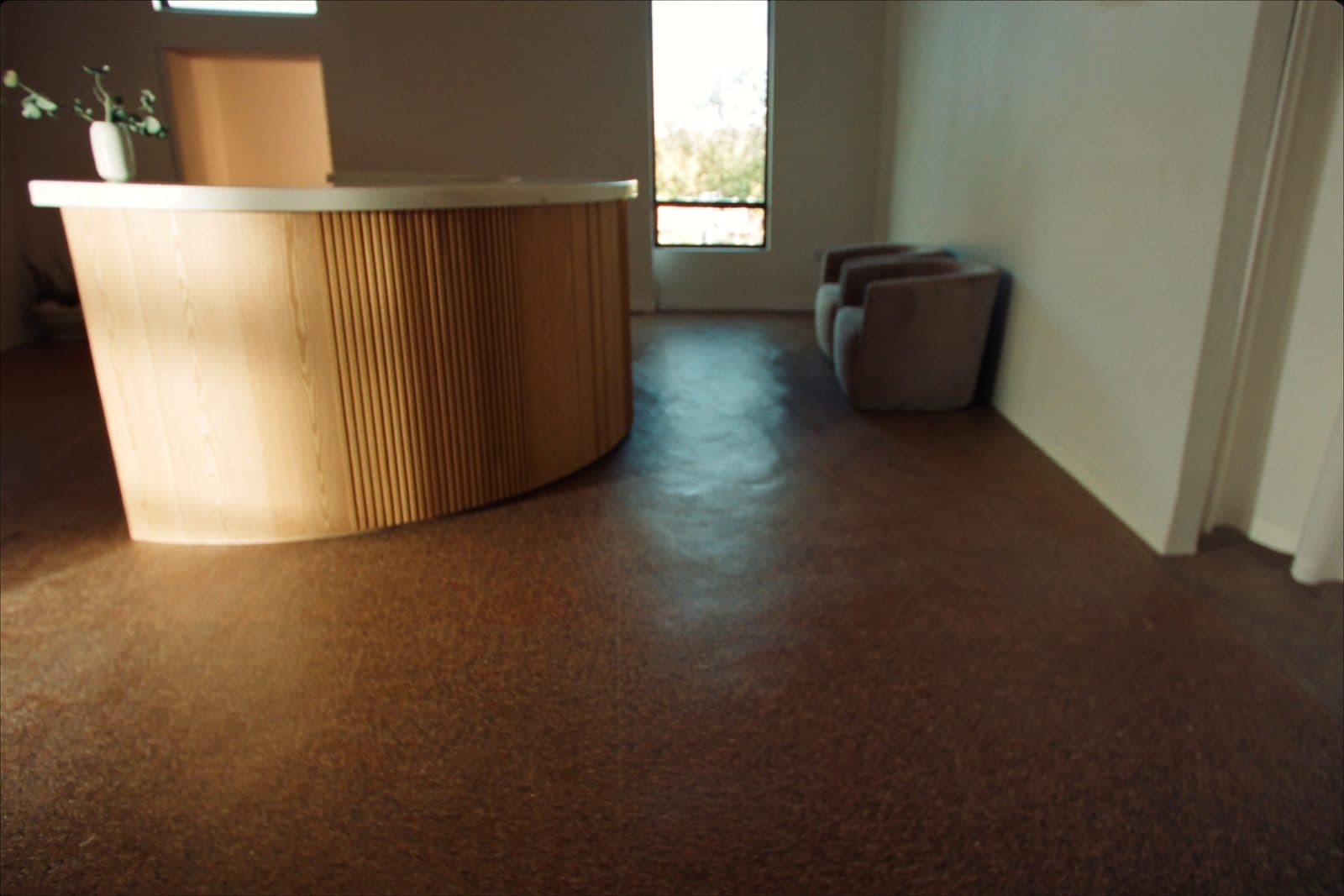 Warm modern dental practice reception and waiting area with a curved pale oak desk and lounge seating